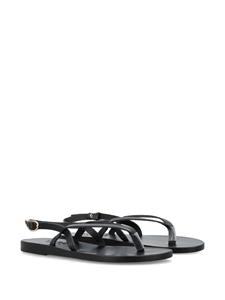 Ancient Greek Sandals Synthesis flat leather sandals - Zwart