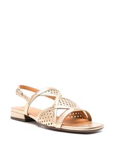 Chie Mihara Tassi leather sandals - Goud