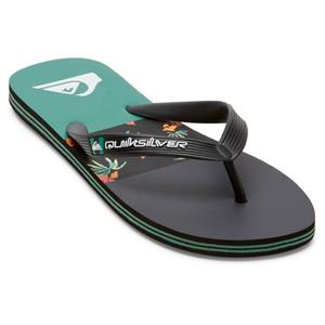 Teenslippers Quiksilver MOLOKAI STRIPE
