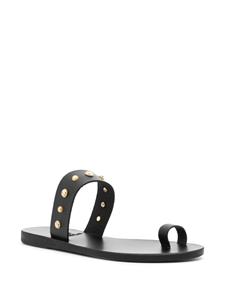Ancient Greek Sandals Thalia Bee toe-strap sandals - Zwart