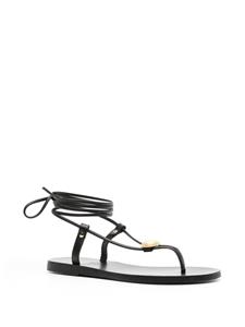 Ancient Greek Sandals Persephone leren sandalen - Zwart