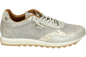Cetti C848