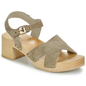Sandalen Scholl PESCURA CATE