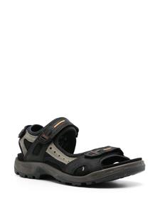 ECCO Offroad touch-strap sandals - Zwart