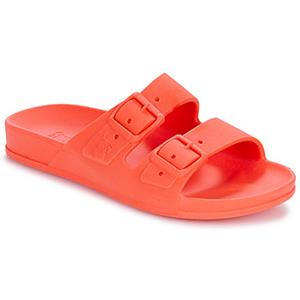 Cacatoès Slippers  RIO DE JANEIRO