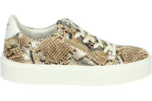 Floris van Bommel SFW-10106-91-01