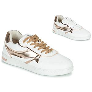 Geox Lage Sneakers  D JAYSEN
