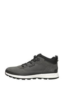 Timberland  Field Trekker Low
