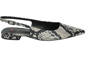 Hogl 101909