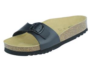 Scholl Estelle
