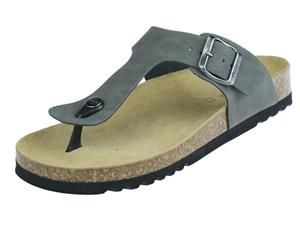 Scholl Evis