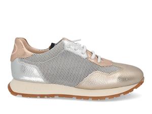 Hispanitas Kansas 253869 cava Brons 