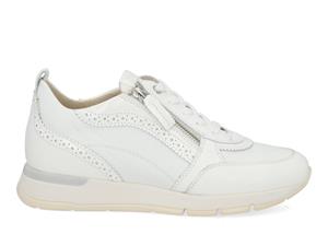 DL Sport 6523 vers 04 bianco Wit 