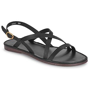 El Naturalista Sandalen  TULIP