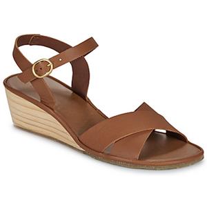 El Naturalista Sandalen  GAIA