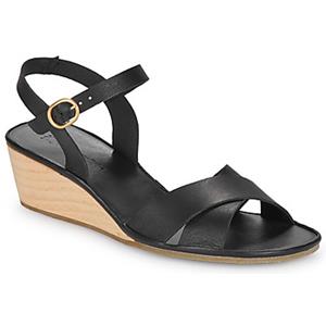 El Naturalista Sandalen  GAIA