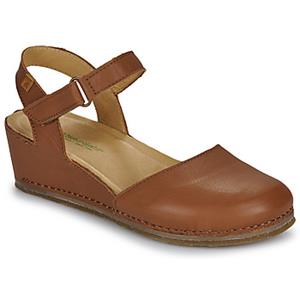 El Naturalista Sandalen  PICUAL