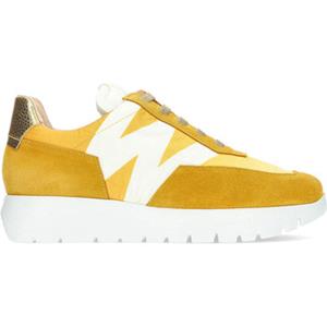 Wonders Lage Sneakers  ODISEI A-2463T SNEAKERS