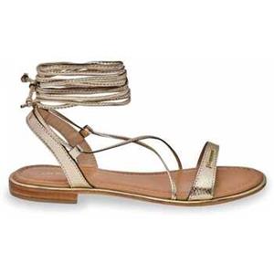Les Tropéziennes par M Belarbi Sandalen  Hillonel
