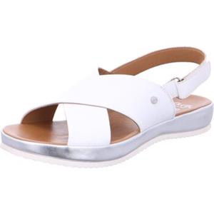 Ara Sandalen  12-15177-07