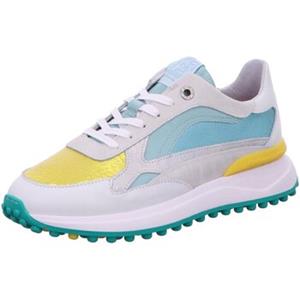 Floris van Bommel Sneakers  -