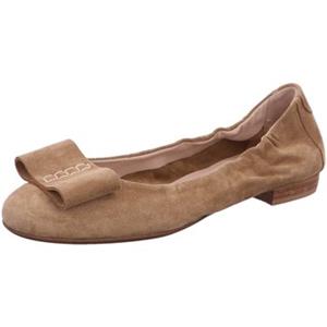 Donna Carolina Ballerina's  -