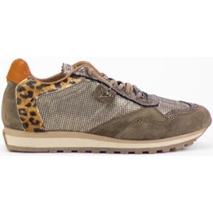 Cetti Sneakers  34604