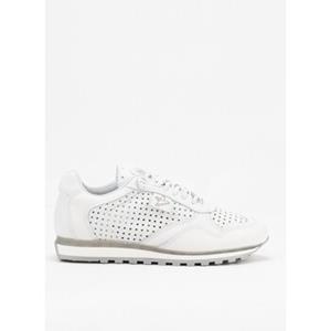Cetti Sneakers  37432