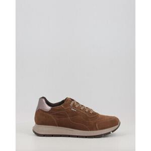 IGI&Co Sneakers IgI&CO DEMGT 66726