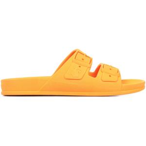 Cacatoès Sandalen  Rio de Janeiro