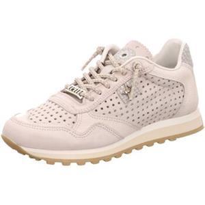 Cetti Sneakers  -