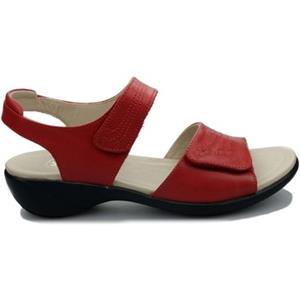 Clarks Sandalen  Open House