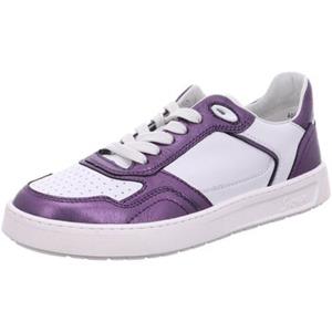 Sioux Sneakers  -