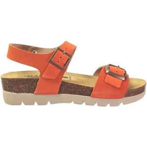 Plakton Sandalen  Cool