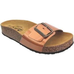 Plakton Slippers  Cp bis3