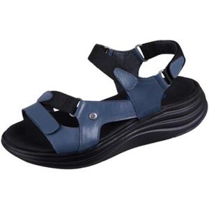Wolky Sandalen  -