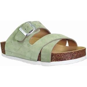 Plakton Slippers  Cp boludo
