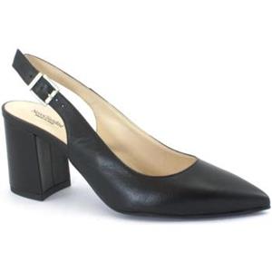 NeroGiardini Pumps  NGD-E23-12013-100