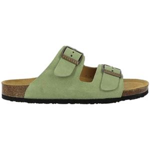 Plakton Slippers  BETA