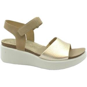 ECCO Sandalen  ECC-E23-272313-GP