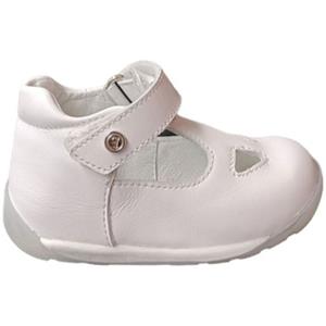 Falcotto Sneakers  VENTULIS