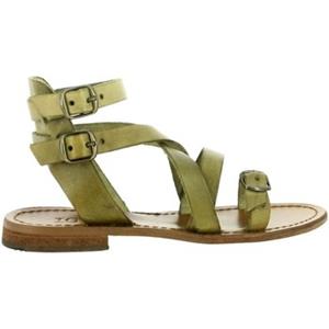 Iota Sandalen  SPARTE