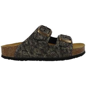 Plakton Slippers  CP BETA SQUARE
