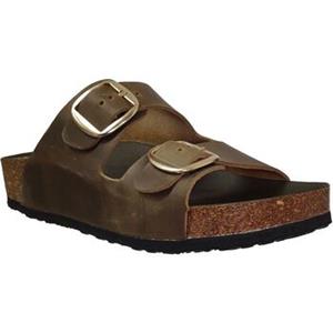 Plakton Slippers  Cp beta mic square