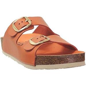 Plakton Slippers  Cp beta mic square