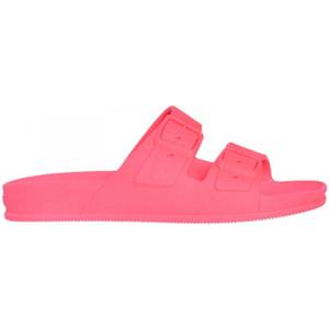 Cacatoès Sandalen  Bahia