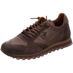 Cetti Sneakers  -