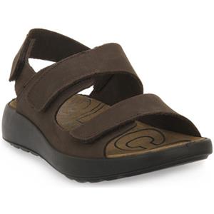 IGI&Co Sandalen IgI&CO PALMER MORO