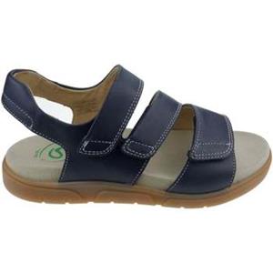 Ara Sandalen  Nature
