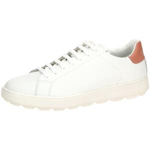 Geox Sneakers  -